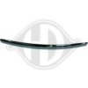 DIEDERICHS 1417001 Trim/Protective Strip, radiator grille